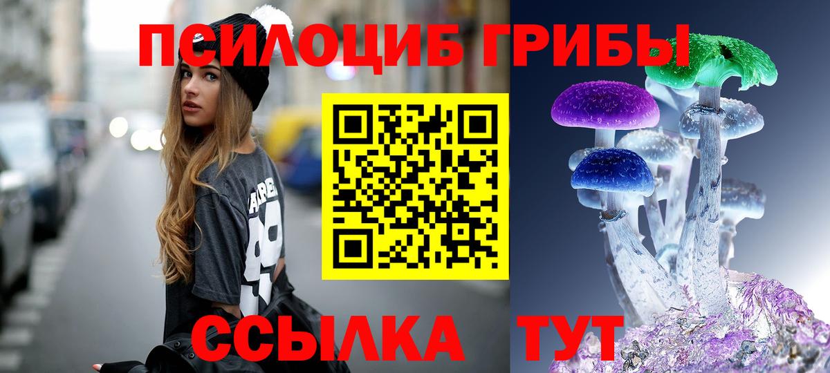 Псилоцибиновые грибы MAGIC MUSHROOMS Сосновый Бор